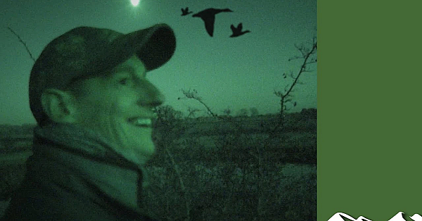 Fabulous Duck Flighting At Dusk