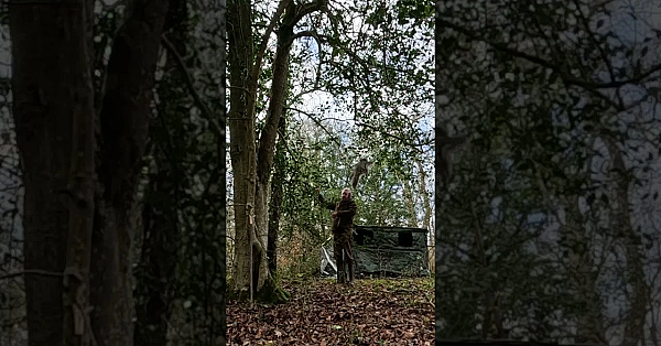 Flying Squirrels In Somerset