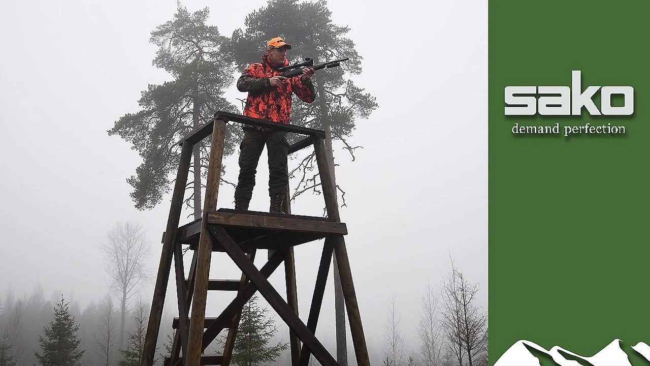 Sako 90 Launch: First Hunt, First Moose