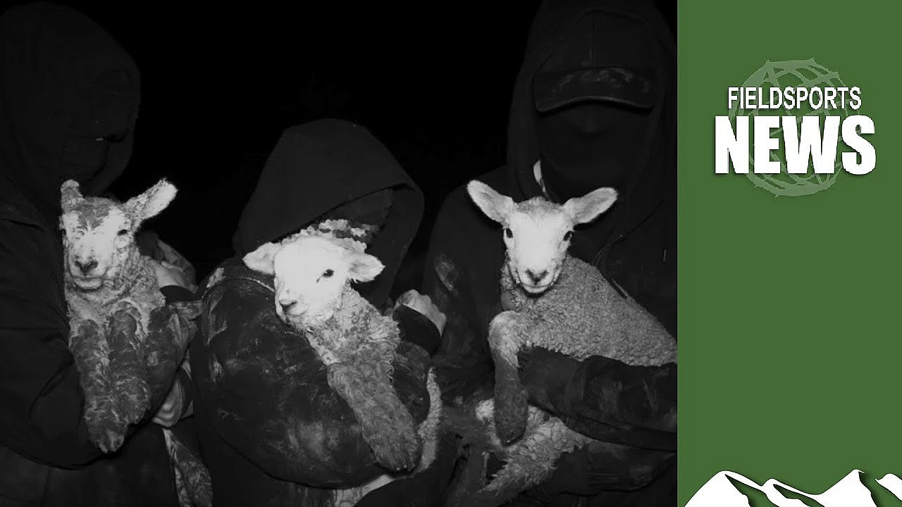 Animal Rights Extremists Release Terrorist Handbook