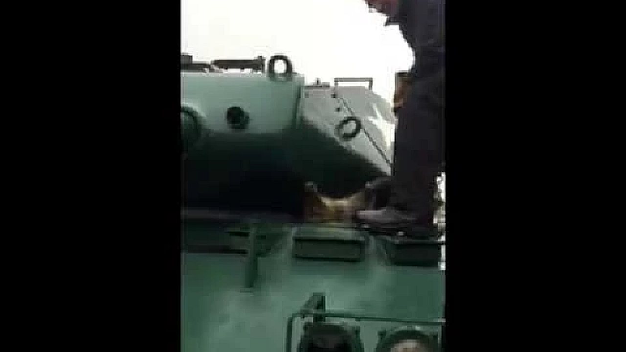 Een wasbeer op avontuur.......in een tank