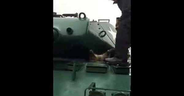 Een wasbeer op avontuur.......in een tank