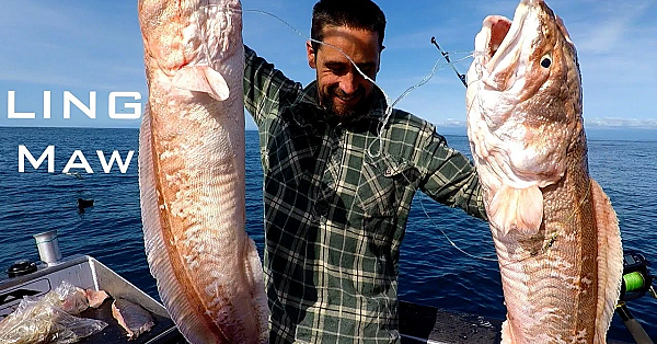 Catch N Cook - Ling Maw - Josh James Adventure Vlogs New Zealand