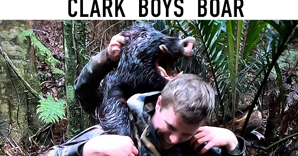 Clark Boys Boar With Dogs - Pig Hunting New Zealand