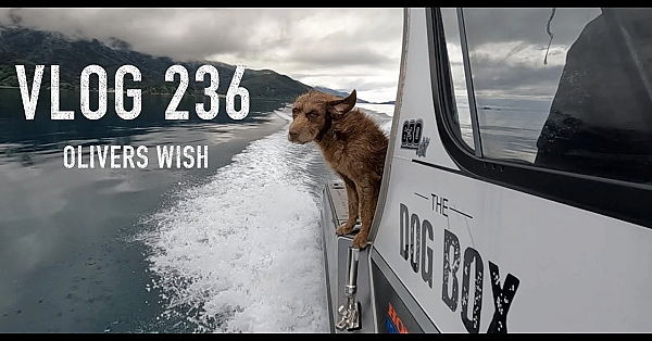Josh James And The Kiwi Bushmen New Zealand Adventure Vlog 236 Durville Island Olivers Wish Fishing