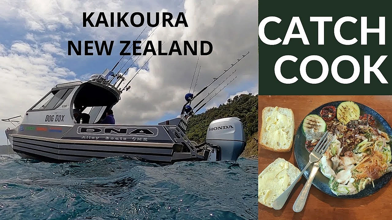 Fishing In Kaikoura New Zealand With Josh James, Charlie Horse And Dommy.