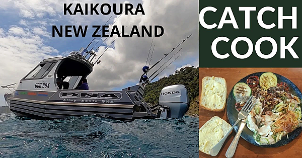 Fishing In Kaikoura New Zealand With Josh James, Charlie Horse And Dommy.