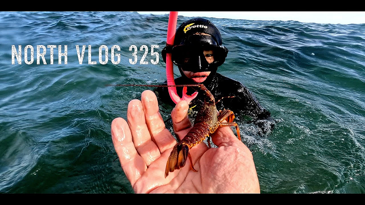 Josh James Adventure Vlog #325 East Cape To Hawke’s Bay To Wellington Then South Island And Home