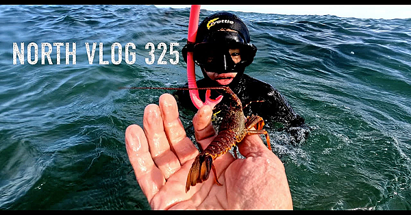 Josh James Adventure Vlog #325 East Cape To Hawke’s Bay To Wellington Then South Island And Home