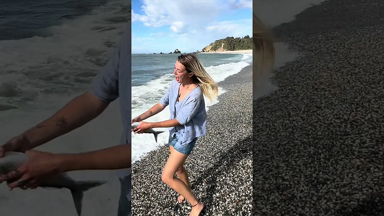 Isabel Kahawai Cheese