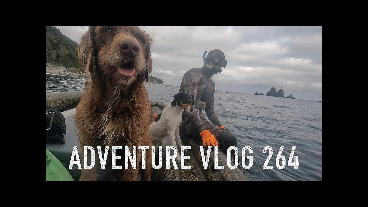 Adventure Vlog 264 - F___ Em Darryl