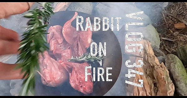 Rabbit Hunt Catch And Cook Josh James And Sonny Jim Adventure Vlog #347 Short