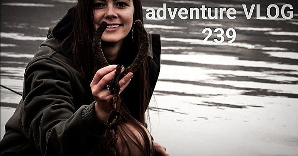 Josh James Adventure Vlog 239 A Deer A Trout And A Camping Mission New Zealand Red Deer Roar 2023