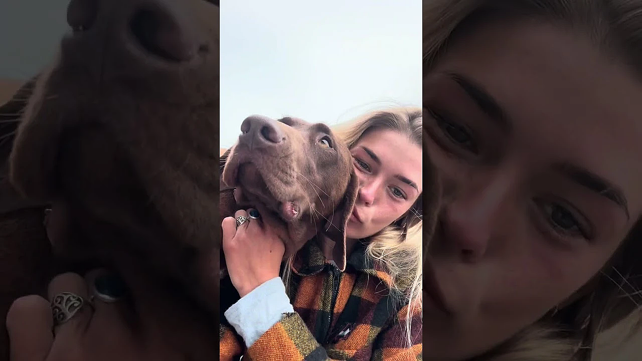 Limpet Catch N Cook With Isabel Rose New Zealand West Coast South Island