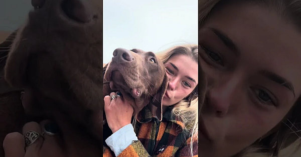 Limpet Catch N Cook With Isabel Rose New Zealand West Coast South Island