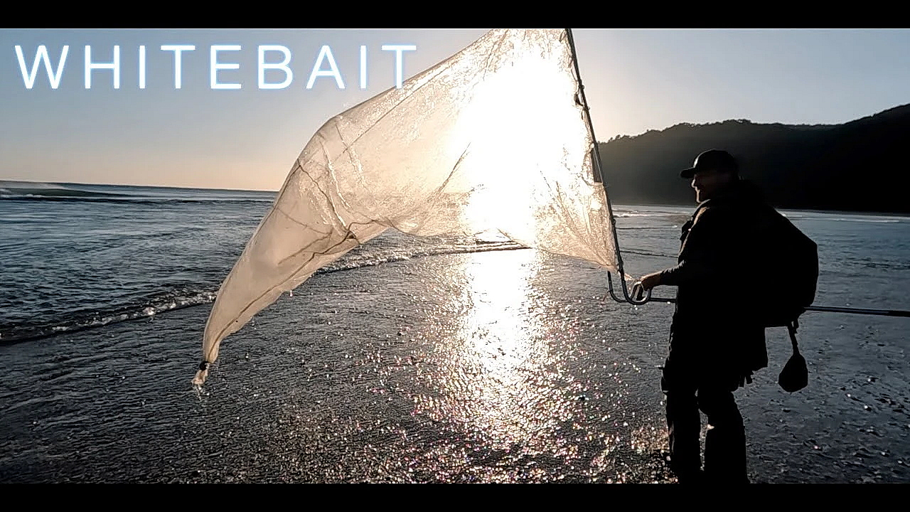NZ Adventure VLOG #342 paringa whitebait missions with the lads West Coast South Island New Zealand