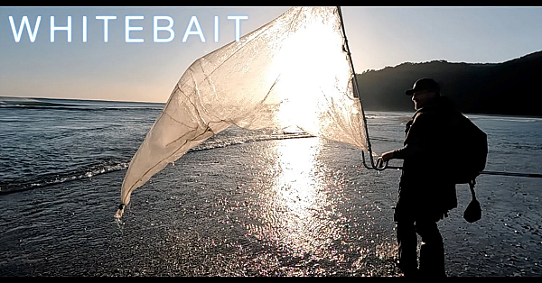 NZ Adventure VLOG #342 paringa whitebait missions with the lads West Coast South Island New Zealand