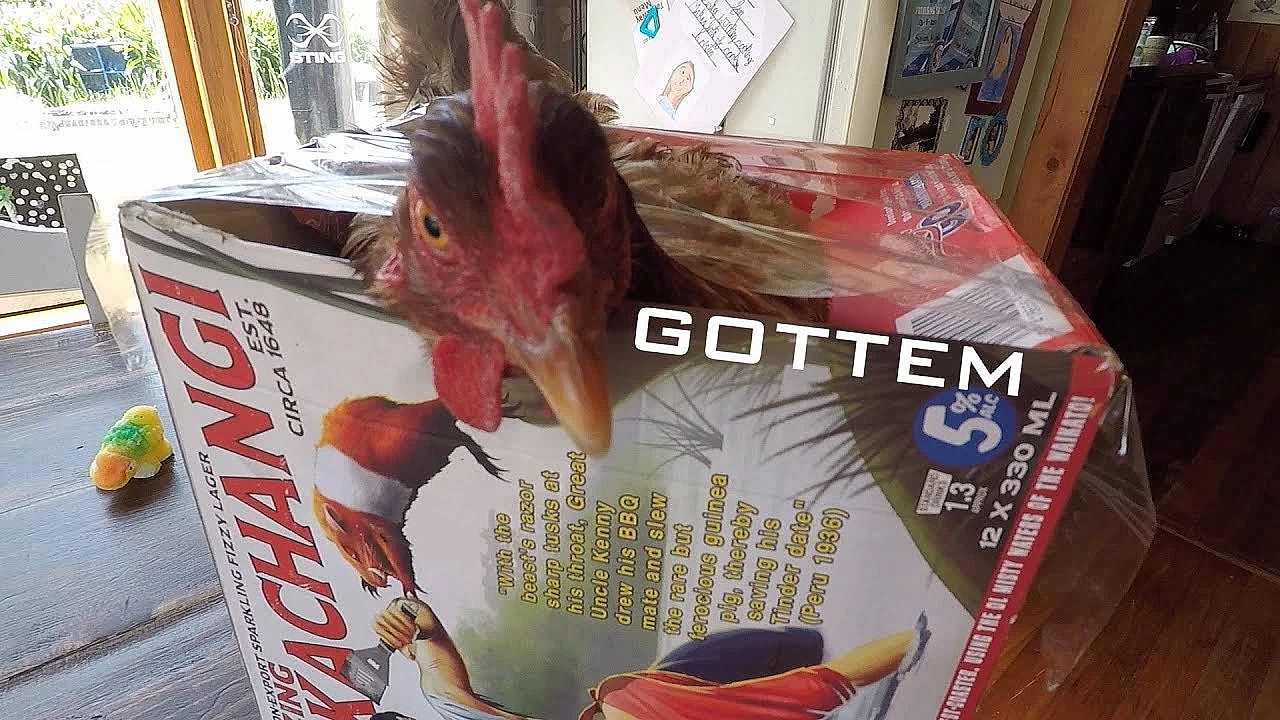 Josh And Mearle - Random Stuff Vlog 54 - December 2017 - Fish Hook In Kristens Foot