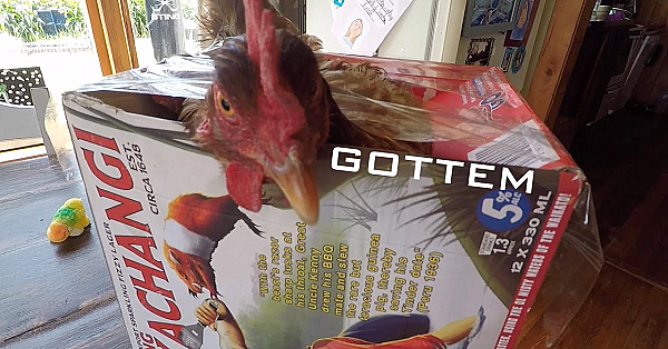 Josh And Mearle - Random Stuff Vlog 54 - December 2017 - Fish Hook In Kristens Foot