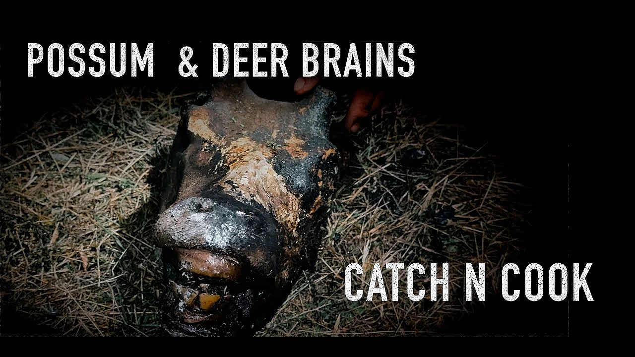 Deer Brains And Possum Camp Fire Catch N Cook With Josh James New Zealand Wilderness Adventure Vlogs