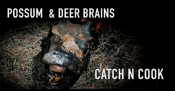 Deer Brains And Possum Camp Fire Catch N Cook With Josh James New Zealand Wilderness Adventure Vlogs
