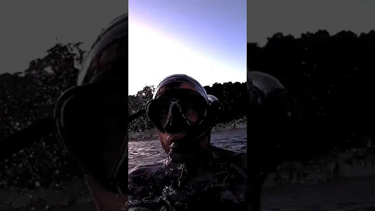 Freedive For Crayfish And A Shark Scares The Heck Outa Jack New Zealand #shorts #adventurevlog