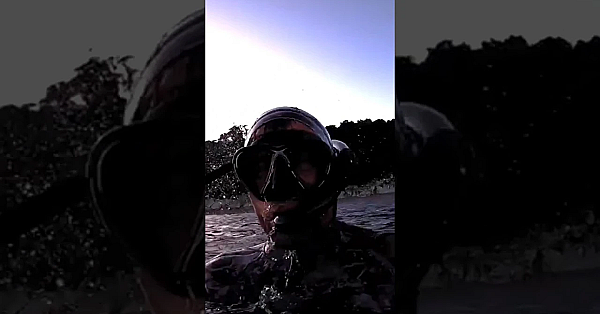 Freedive For Crayfish And A Shark Scares The Heck Outa Jack New Zealand #shorts #adventurevlog