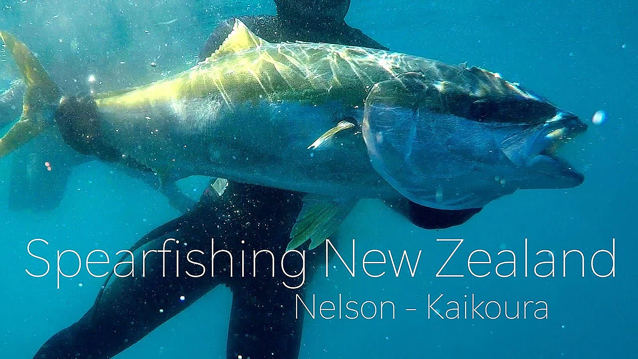 Josh James - Sam Wild - Jason &amp; Charlie Go Spearfishing - Adventure - Jetboats - Spearo Stuff