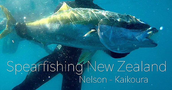 Josh James - Sam Wild - Jason &amp; Charlie Go Spearfishing - Adventure - Jetboats - Spearo Stuff