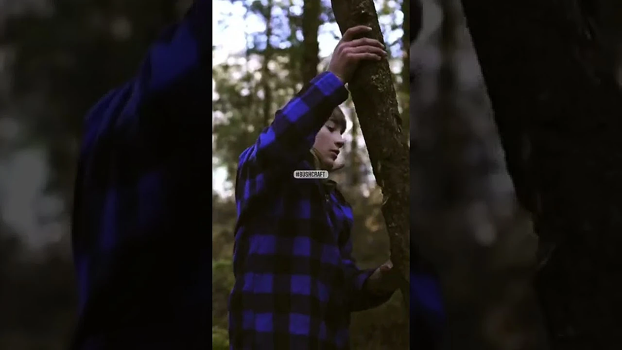 Father And Son Bushcraft New Zealand Adventure Vlog