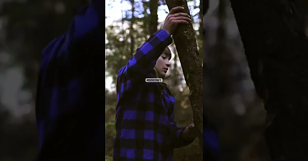 Father And Son Bushcraft New Zealand Adventure Vlog