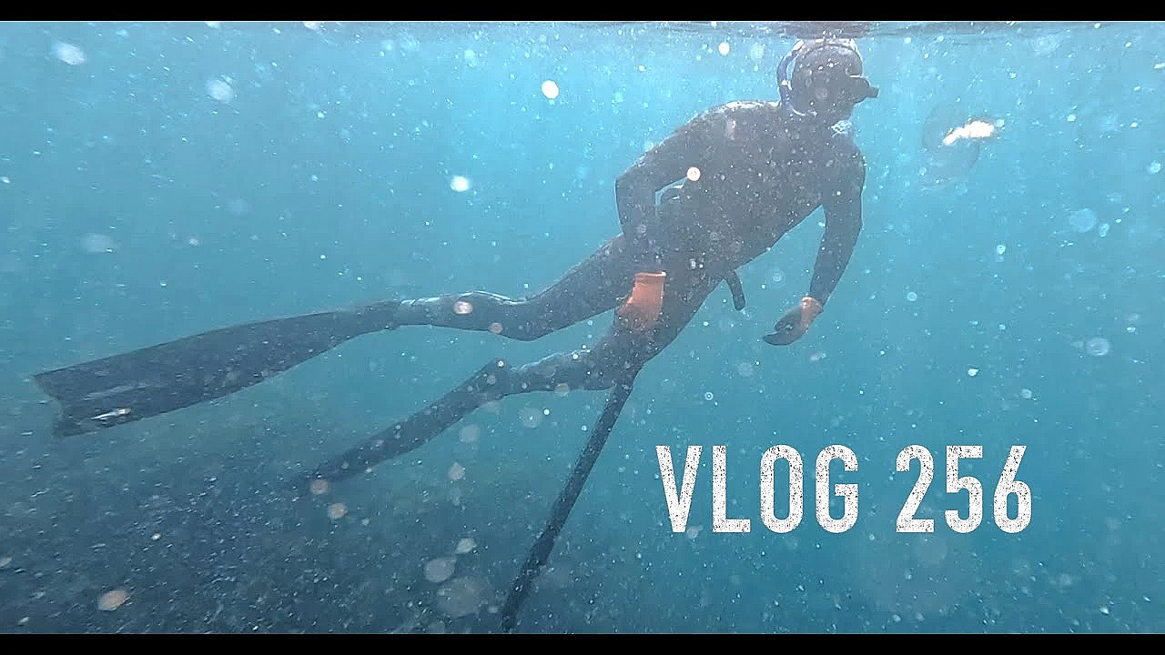 Josh James Adventure Vlog 265 Gun Jumping Octopus Cray Kina Paua Camping Dog Coffee Steak Fire Stuff