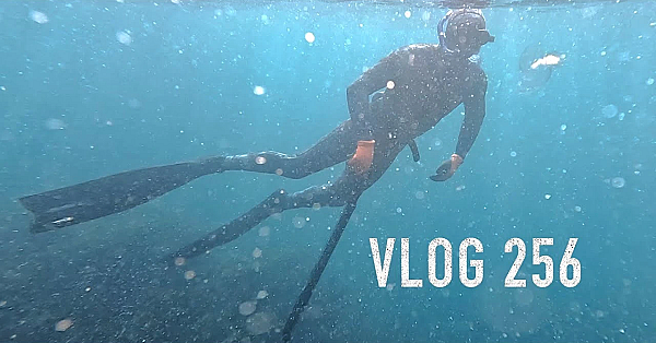 Josh James Adventure Vlog 265 Gun Jumping Octopus Cray Kina Paua Camping Dog Coffee Steak Fire Stuff