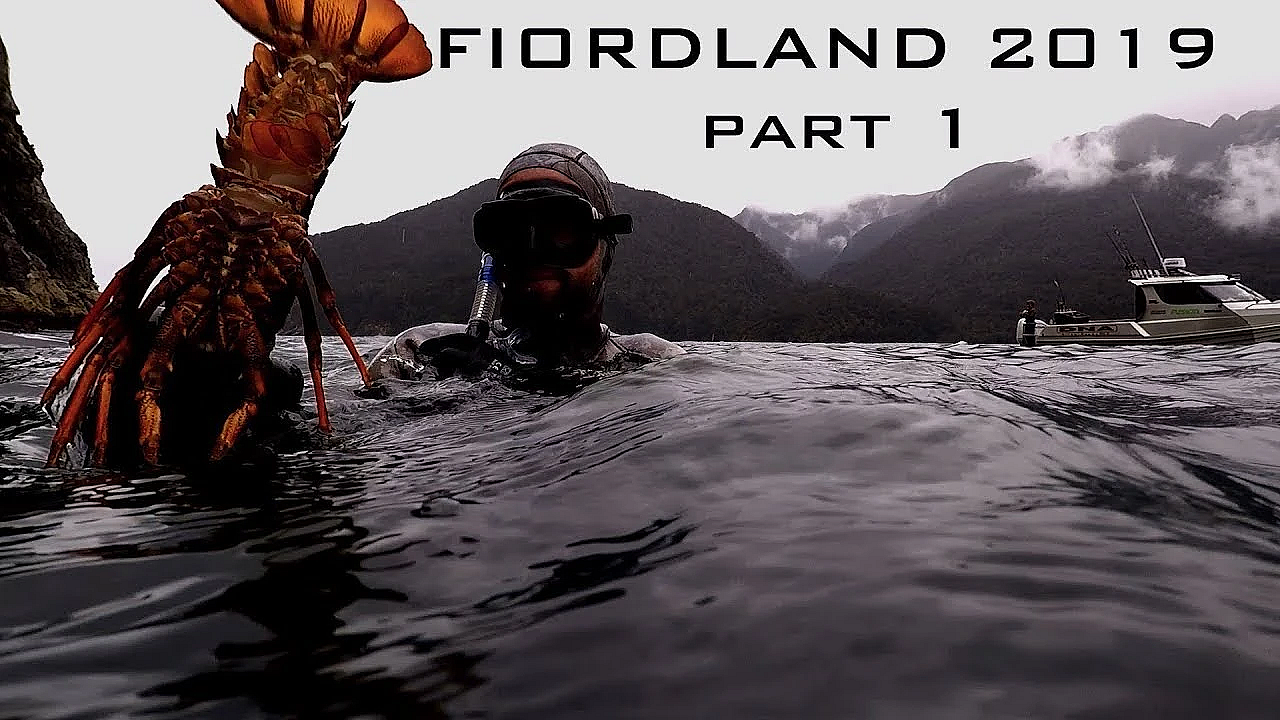 Fiordland Hunting And Fishing And Freediving New Zealand Josh James