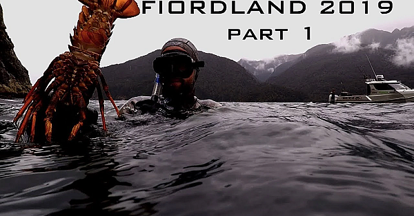 Fiordland Hunting And Fishing And Freediving New Zealand Josh James