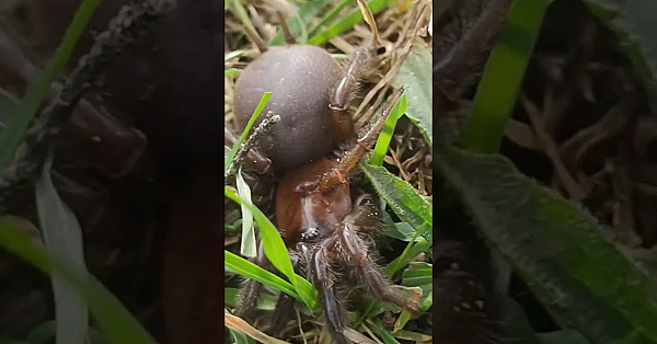 New Vlogs On Patreon, Couple Of Bucks A Week Gets You Access To Heaps Of Exclusive Content