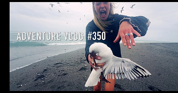 Kahawai Catch N Cook Fishing New Zealand Josh James And Isabel Rose