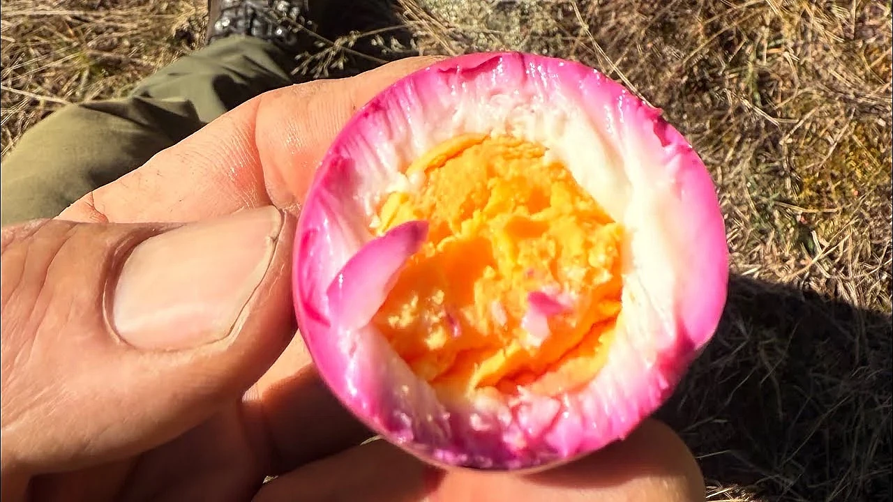 Pickled egg recipe, perfect for camping, hunting and fishing missions