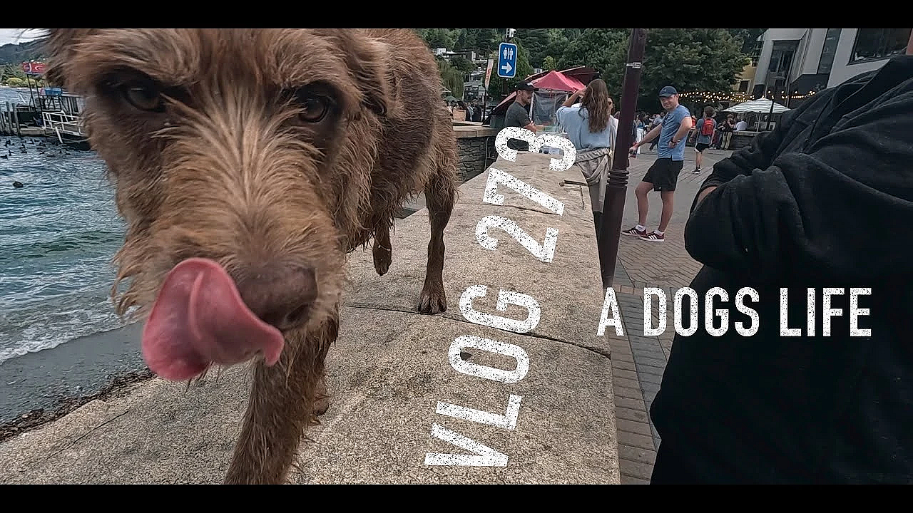 Adventure Vlog 273, A Dogs Life, Fishing Big Smoke, Dirtbikes, Chef Sonny Jim, Weka And His Kids