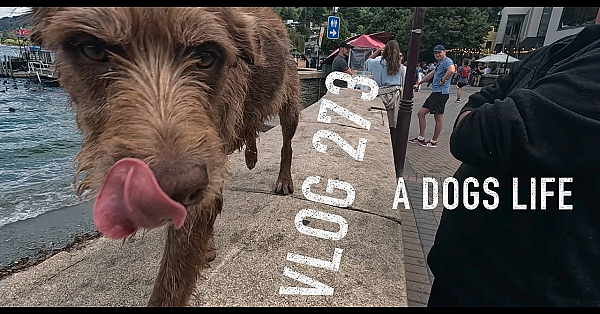 Adventure Vlog 273, A Dogs Life, Fishing Big Smoke, Dirtbikes, Chef Sonny Jim, Weka And His Kids