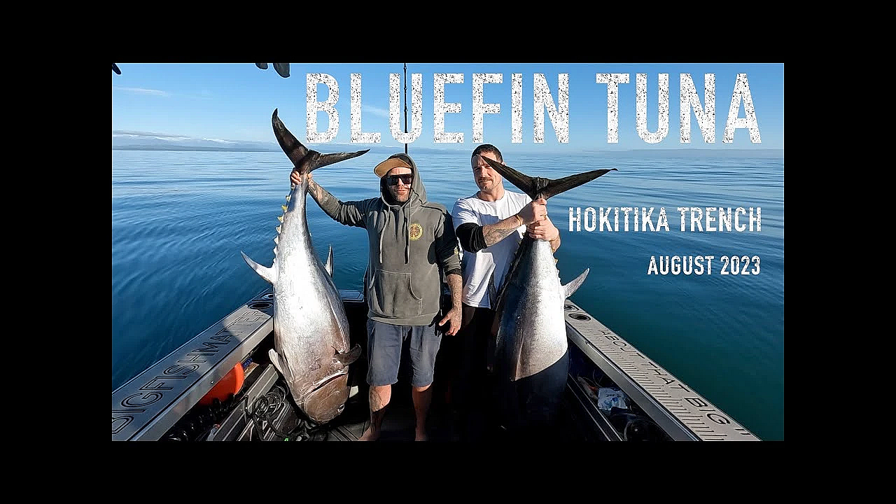 Bluefin Tuna In The Dogbox - Hokitika Trench South Island New Zealand - Dna Boats 630xht