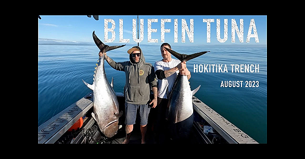 Bluefin Tuna In The Dogbox - Hokitika Trench South Island New Zealand - Dna Boats 630xht