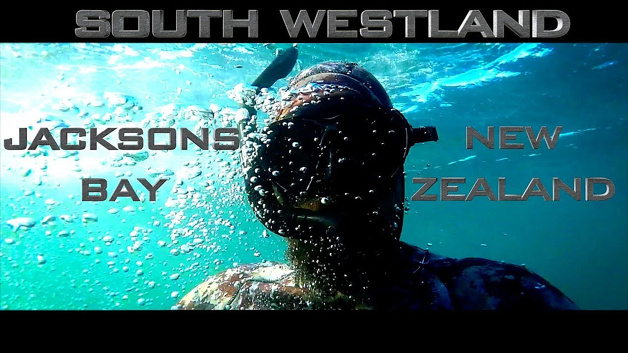 We Head To Jacksons Bay In The Dna Boats 570 Xht And The 730 Xht