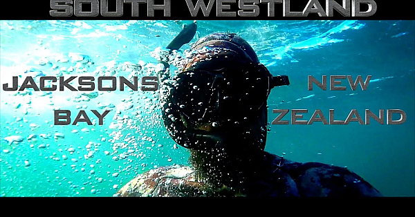 We Head To Jacksons Bay In The Dna Boats 570 Xht And The 730 Xht