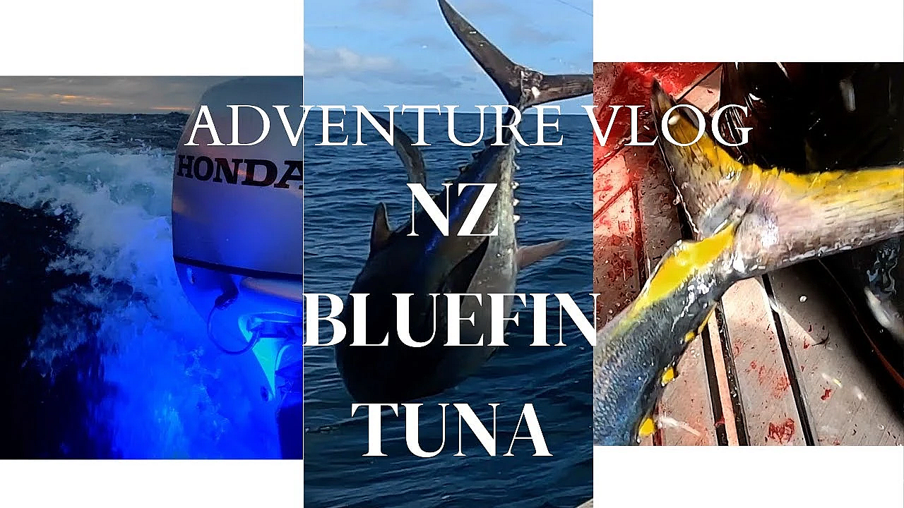 New Zealand Adventure Vlog Bluefin Tuna With Josh James, Jack Daniel And Ant Niteryl In Jacksons Bay