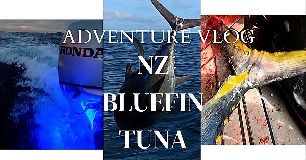 New Zealand Adventure Vlog Bluefin Tuna With Josh James, Jack Daniel And Ant Niteryl In Jacksons Bay