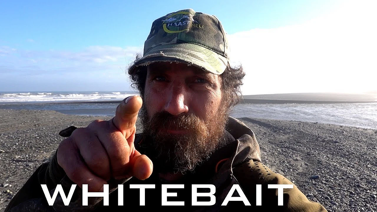 New Zealand Whitebait Fishery Under Threat