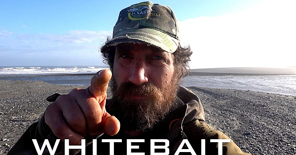 New Zealand Whitebait Fishery Under Threat