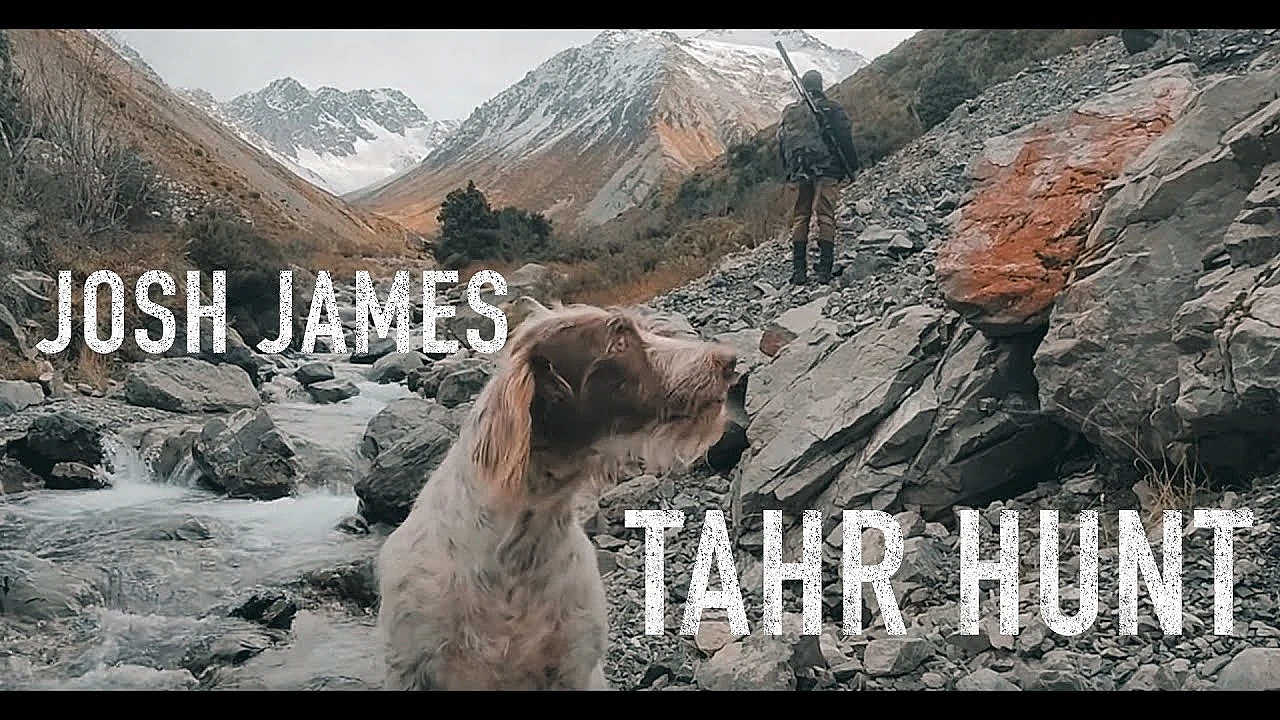 Adventure Vlog 295 Tahr Hunting East Coast South Island