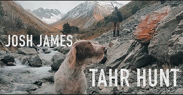 Adventure Vlog 295 Tahr Hunting East Coast South Island